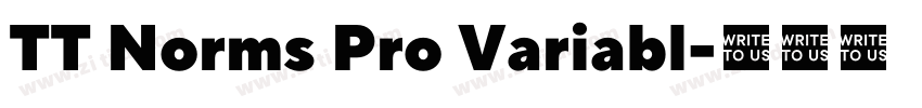 TT Norms Pro Variabl字体转换 TT Norms Pro Variabl字体转换